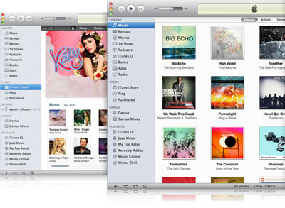 iTunes 10.1.1 trajo consigo más problemas que soluciones 3