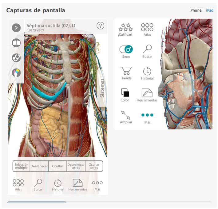 Captura pantalla Atlas de anatomia humana