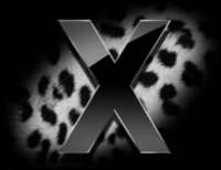 Apple podrá dar soporte al HD-DVD y al Blu-ray en Leopard 3